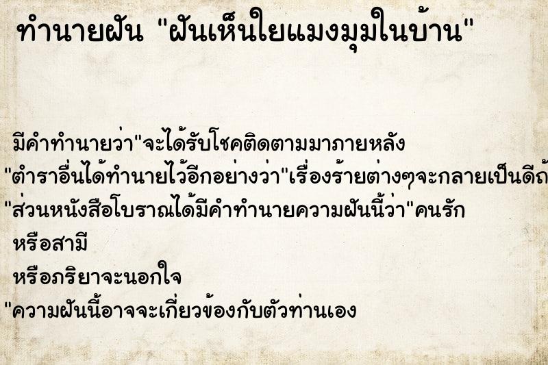 ทำนายฝัน ฝันเห็นใยแมงมุมในบ้าน ทำนายฝัน ฝันเห็นใยแมงมุมในบ้าน