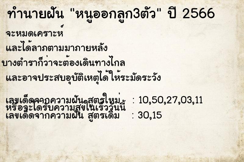 ทำนายฝัน หนูออกลูก3ตัว