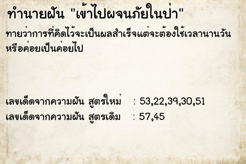 ทำนายฝันทำนายฝันเข้าไปผจนภัยในป่า