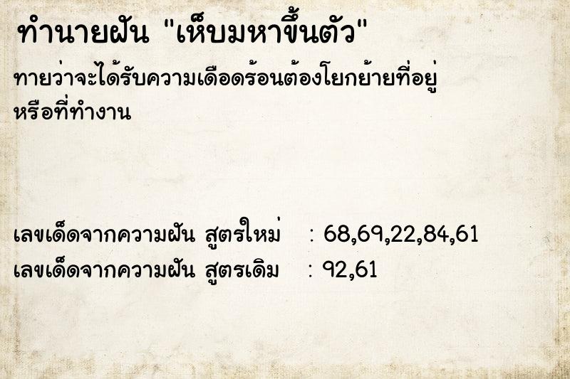 ทำนายฝันเห็บมหาขึ้นตัว ทำนายฝันทำนายฝันเห็บมหาขึ้นตัว