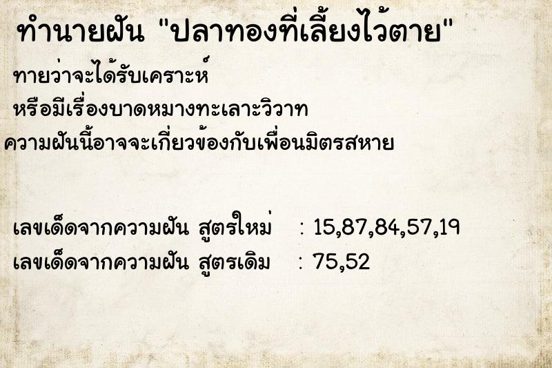 ทำนายฝัน ปลาทองที่เลี้ยงไว้ตาย ทำนายฝัน ปลาทองที่เลี้ยงไว้ตาย