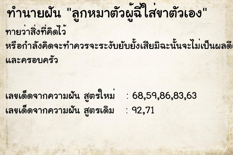 ทำนายฝันลูกหมาตัวผู้ฉี่ใส่ขาตัวเอง ทำนายฝันทำนายฝันลูกหมาตัวผู้ฉี่ใส่ขาตัวเอง