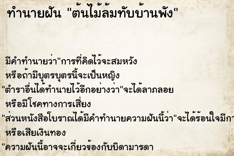 ทำนายฝัน ต้นไม้ล้มทับบ้านพัง ทำนายฝัน ต้นไม้ล้มทับบ้านพัง