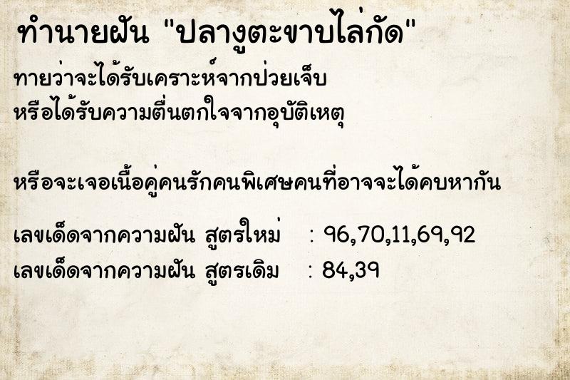 ทำนายฝันทำนายฝันปลางูตะขาบไล่กัด