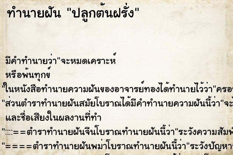 ทำนายฝันปลูกต้นฝรั่ง ทำนายฝันทำนายฝันปลูกต้นฝรั่ง