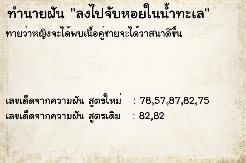 ทำนายฝันลงไปจับหอยในน้ำทะเล ทำนายฝันทำนายฝันลงไปจับหอยในน้ำทะเล