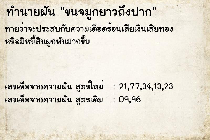 ทำนายฝันขนจมูกยาวถึงปาก ทำนายฝันทำนายฝันขนจมูกยาวถึงปาก