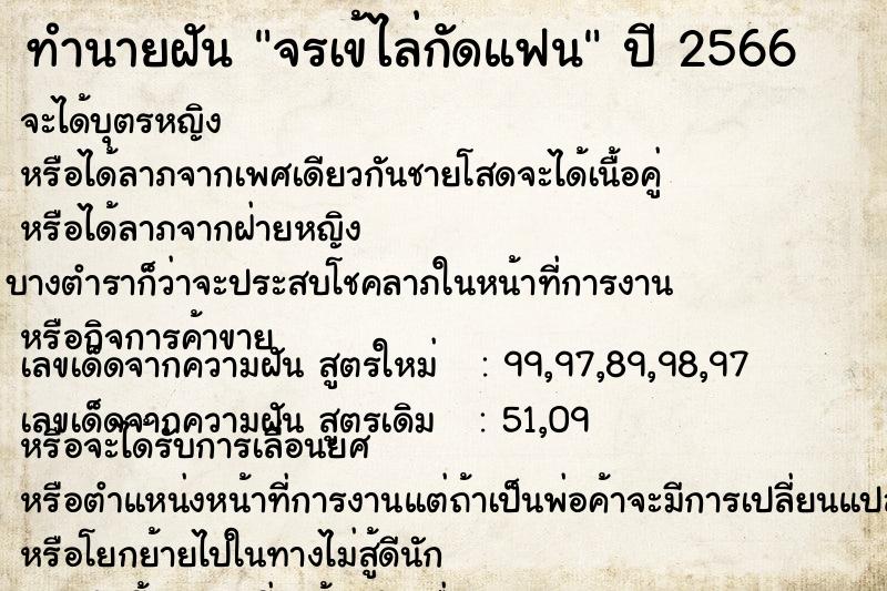 ทำนายฝัน จรเข้ไล่กัดแฟน ทำนายฝัน จรเข้ไล่กัดแฟน