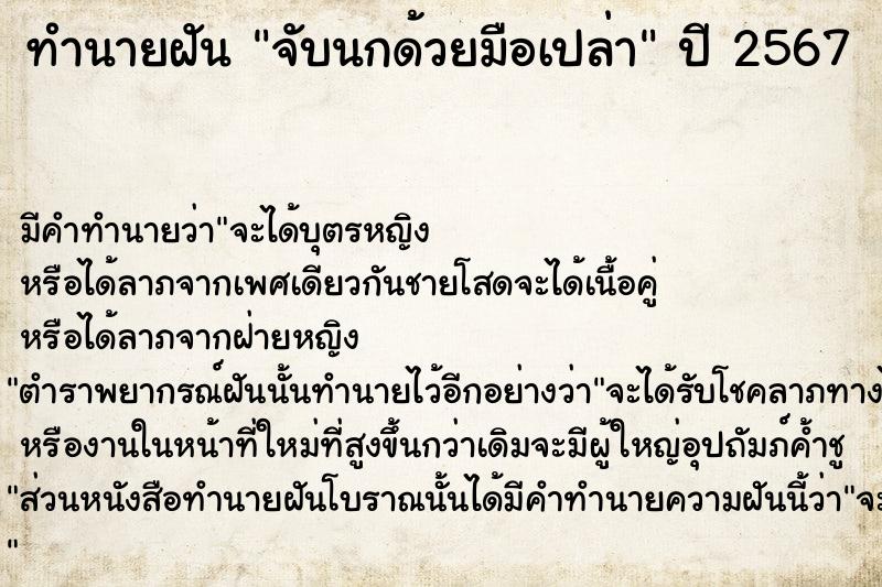 ทำนายฝันทำนายฝันจับนกด้วยมือเปล่า