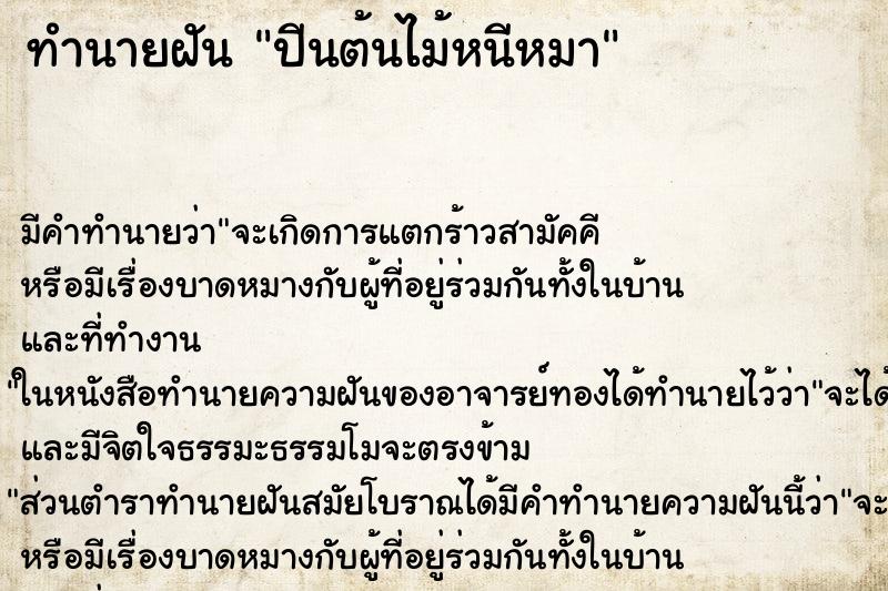 ทำนายฝัน ปีนต้นไม้หนีหมา
