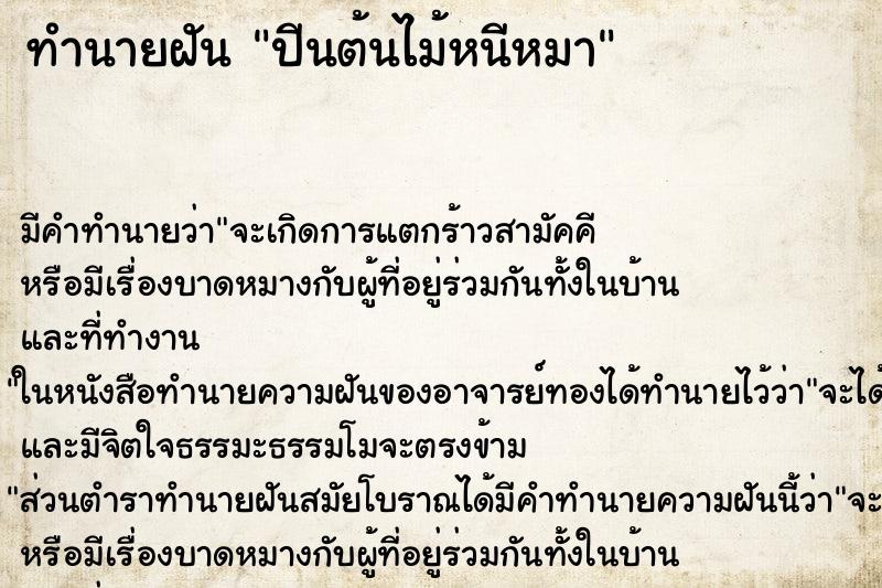 ทำนายฝัน ปีนต้นไม้หนีหมา ตำราโบราณ แม่นที่สุดในโลก