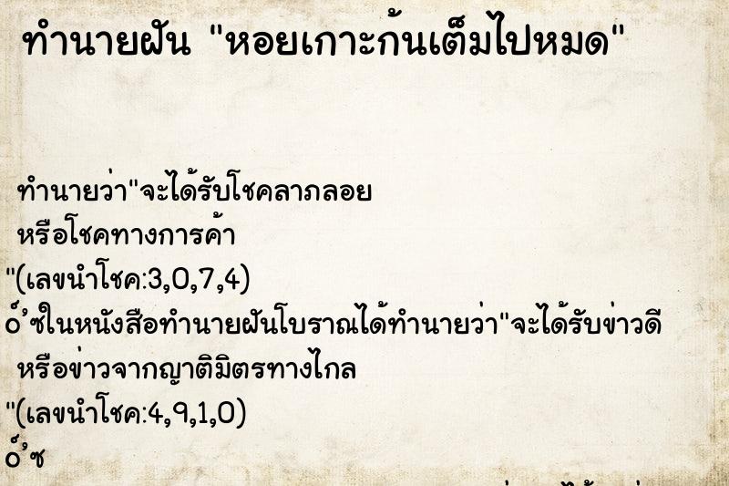 ทำนายฝันทำนายฝันหอยเกาะก้นเต็มไปหมด