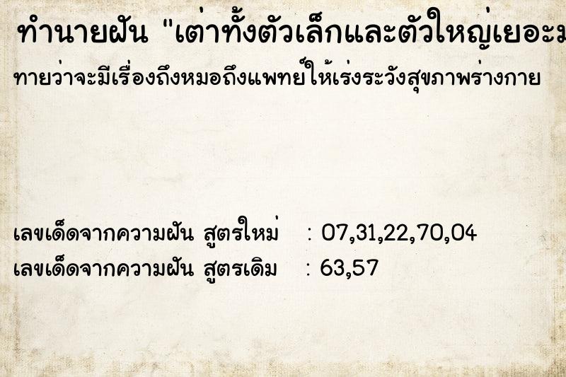 ทำนายฝันเต่าทั้งตัวเล็กและตัวใหญ่เยอะมาก ทำนายฝันทำนายฝันเต่าทั้งตัวเล็กและตัวใหญ่เยอะมาก