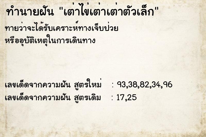 ทำนายฝันทำนายฝันเต่าไข่เต่าเต่าตัวเล็ก