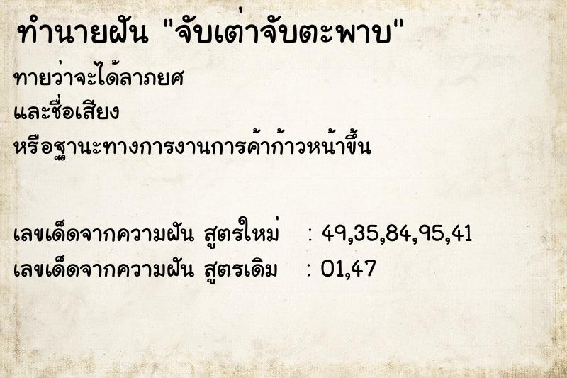 ทำนายฝันจับเต่าจับตะพาบ ทำนายฝันทำนายฝันจับเต่าจับตะพาบ