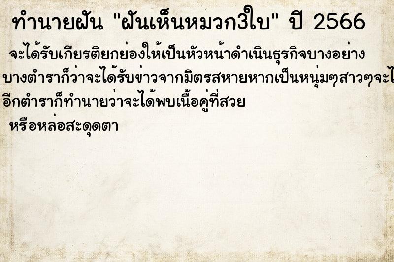ทำนายฝันทำนายฝันฝันเห็นหมวก3ใบ