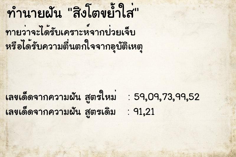 ทำนายฝันสิงโตขย้ำใส่ ทำนายฝันทำนายฝันสิงโตขย้ำใส่