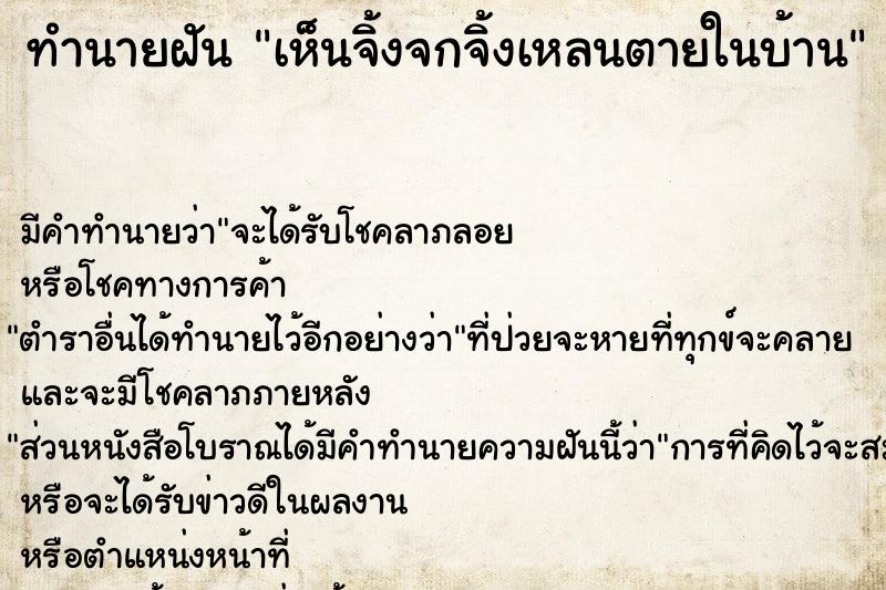 ทำนายฝัน เห็นจิ้งจกจิ้งเหลนตายในบ้าน ตำราโบราณ แม่นที่สุดในโลก