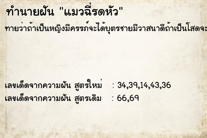 ทำนายฝัน แมวฉี่รดหัว ทำนายฝัน แมวฉี่รดหัว