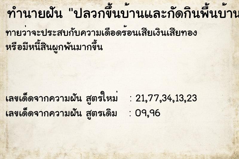 ทำนายฝันทำนายฝันปลวกขึ้นบ้านและกัดกินพื้นบ้าน