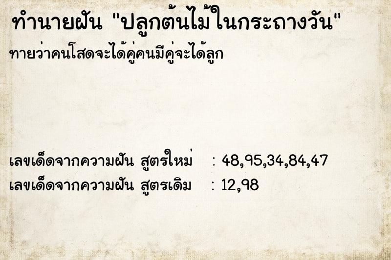 ทำนายฝันปลูกต้นไม้ในกระถางวัน ทำนายฝันทำนายฝันปลูกต้นไม้ในกระถางวัน