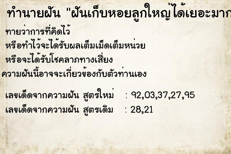 ทำนายฝันฝันเก็บหอยลูกใหญ่ได้เยอะมาก ทำนายฝันทำนายฝันฝันเก็บหอยลูกใหญ่ได้เยอะมาก