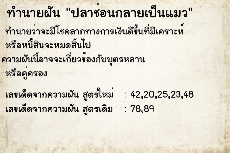 ทำนายฝันปลาช่อนกลายเป็นแมว ทำนายฝันทำนายฝันปลาช่อนกลายเป็นแมว