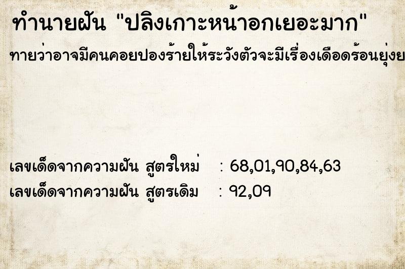 ทำนายฝันทำนายฝันปลิงเกาะหน้าอกเยอะมาก