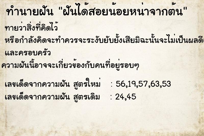 ทำนายฝันทำนายฝันฝันได้สอยน้อยหน่าจากต้น