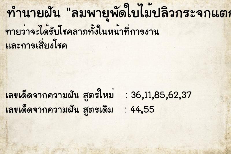 ทำนายฝันลมพายุพัดใบไม้ปลิวกระจกแตก ทำนายฝันทำนายฝันลมพายุพัดใบไม้ปลิวกระจกแตก