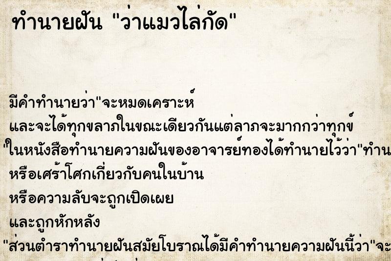 ทำนายฝัน ว่าแมวไล่กัด ทำนายฝัน ว่าแมวไล่กัด