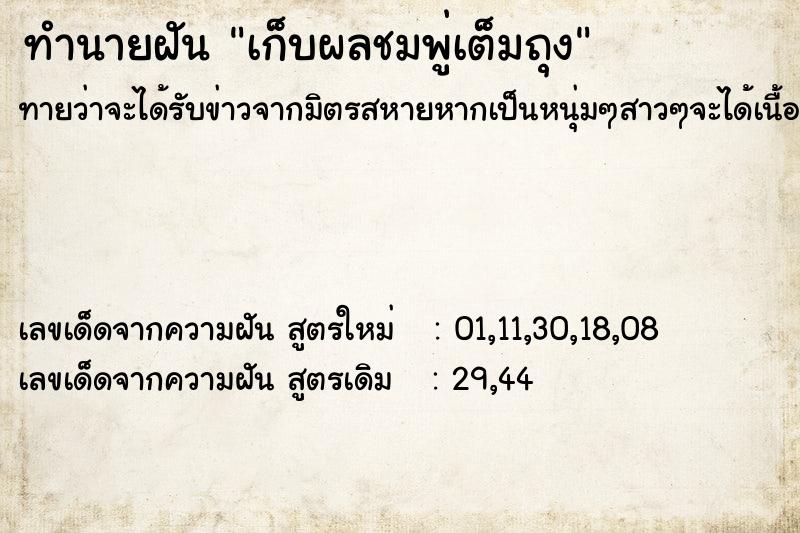 ทำนายฝันทำนายฝันเก็บผลชมพู่เต็มถุง