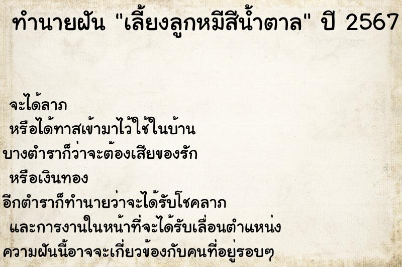 ทำนายฝัน เลี้ยงลูกหมีสีน้ำตาล แม่นๆ ฟรี ด้วยตำราหนังสือทำนายฝันโบราณ ทำนายฝันเลี้ยงลูกหมีสีน้ำตาล
