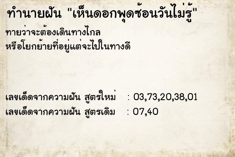 ทำนายฝันเห็นดอกพุดซ้อนวันไม่รู้ ทำนายฝันทำนายฝันเห็นดอกพุดซ้อนวันไม่รู้