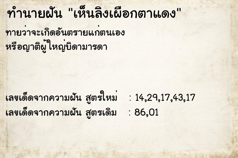ทำนายฝัน เห็นลิงเผือกตาแดง ทำนายฝัน เห็นลิงเผือกตาแดง
