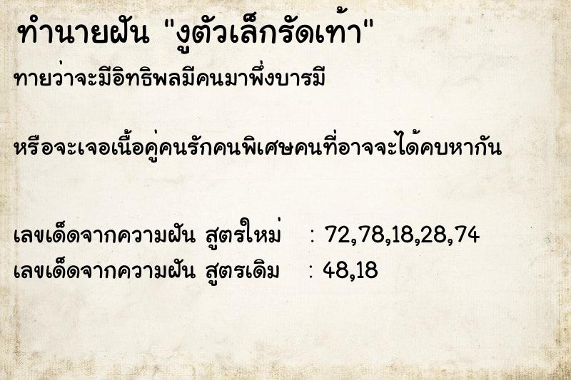 ทำนายฝันงูตัวเล็กรัดเท้า ทำนายฝันทำนายฝันงูตัวเล็กรัดเท้า