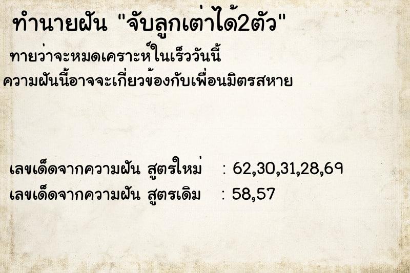 ทำนายฝันจับลูกเต่าได้2ตัว ทำนายฝันทำนายฝันจับลูกเต่าได้2ตัว