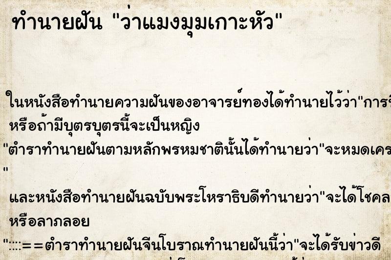 ทำนายฝัน ว่าแมงมุมเกาะหัว ทำนายฝัน ว่าแมงมุมเกาะหัว
