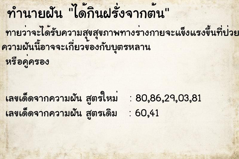 ทำนายฝันได้กินฝรั่งจากต้น ทำนายฝันทำนายฝันได้กินฝรั่งจากต้น