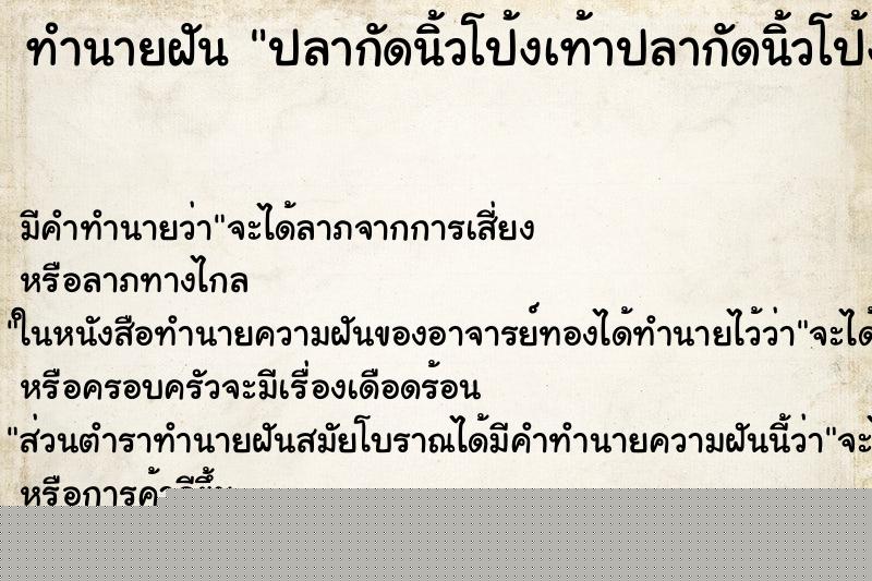 ทำนายฝันปลากัดนิ้วโป้งเท้าปลากัดนิ้วโป้งเท้า ทำนายฝันทำนายฝันปลากัดนิ้วโป้งเท้าปลากัดนิ้วโป้งเท้า