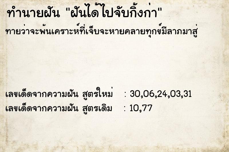 ทำนายฝันฝันได้ไปจับกิ้งก่า ทำนายฝันทำนายฝันฝันได้ไปจับกิ้งก่า