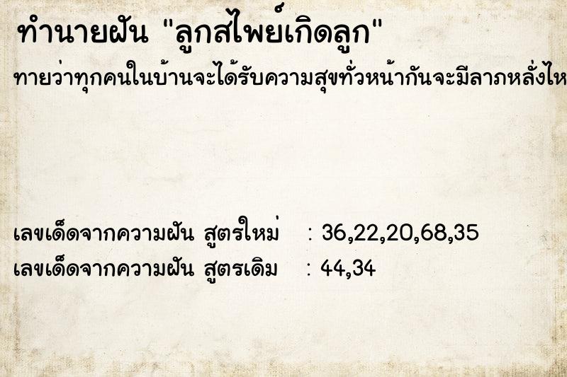 ทำนายฝันลูกสไพย์เกิดลูก ทำนายฝันทำนายฝันลูกสไพย์เกิดลูก