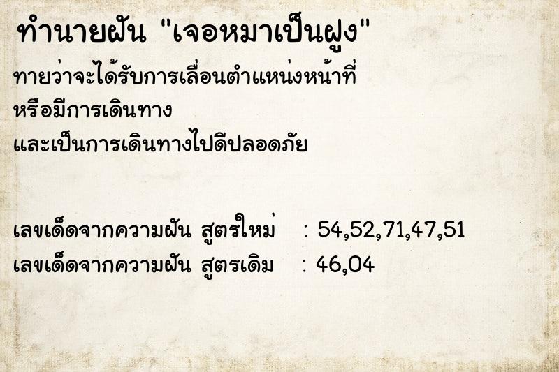ทำนายฝันทำนายฝันเจอหมาเป็นฝูง