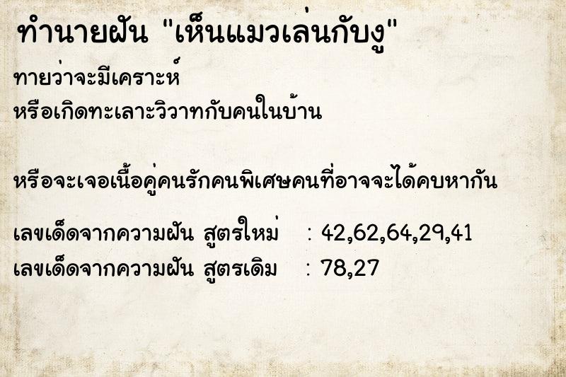 ทำนายฝันเห็นแมวเล่นกับงู ทำนายฝันทำนายฝันเห็นแมวเล่นกับงู
