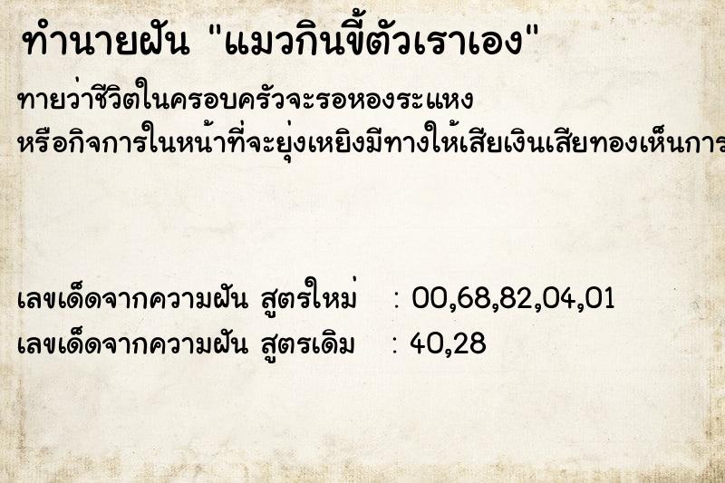 ทำนายฝันทำนายฝันแมวกินขี้ตัวเราเอง