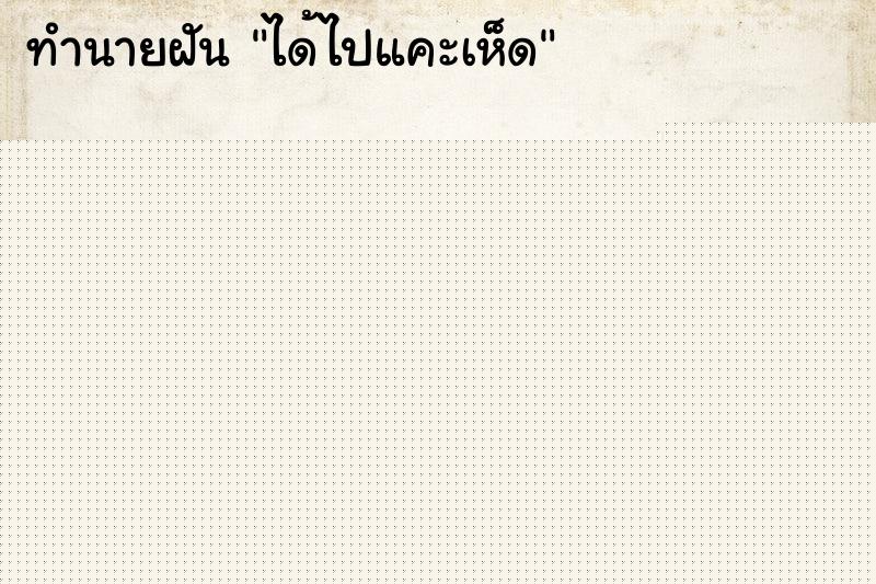 ทำนายฝันได้ไปแคะเห็ด ทำนายฝันทำนายฝันได้ไปแคะเห็ด