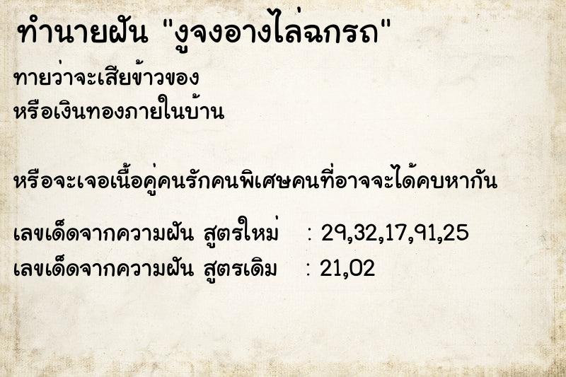 ทำนายฝันงูจงอางไล่ฉกรถ ทำนายฝันทำนายฝันงูจงอางไล่ฉกรถ