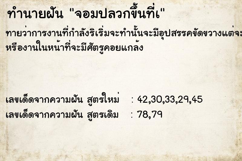 ทำนายฝัน จอมปลวกขึ้นที่à ทำนายฝัน จอมปลวกขึ้นที่à