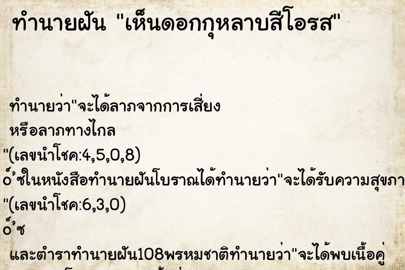 ทำนายฝันเห็นดอกกุหลาบสีโอรส ทำนายฝันทำนายฝันเห็นดอกกุหลาบสีโอรส