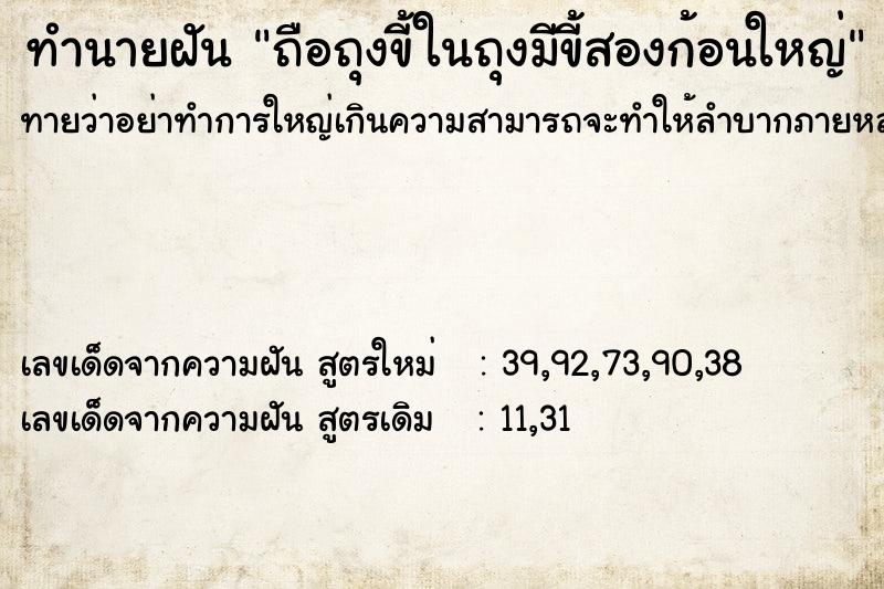 ทำนายฝันทำนายฝันถือถุงขี้ในถุงมีขี้สองก้อนใหญ่